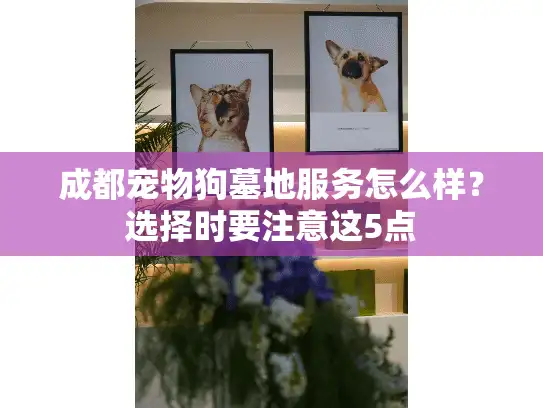 成都宠物狗墓地服务怎么样？选择时要注意这5点