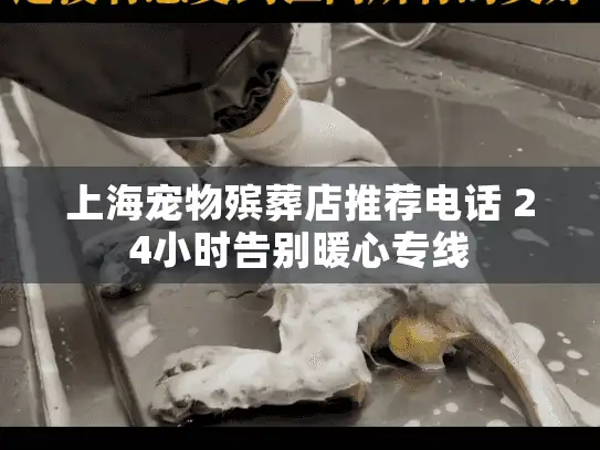 上海宠物殡葬店推荐电话 24小时告别暖心专线