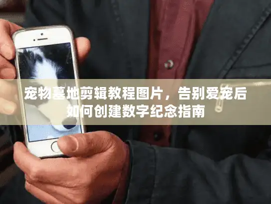 宠物墓地剪辑教程图片，告别爱宠后如何创建数字纪念指南