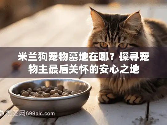 米兰狗宠物墓地在哪？探寻宠物主最后关怀的安心之地