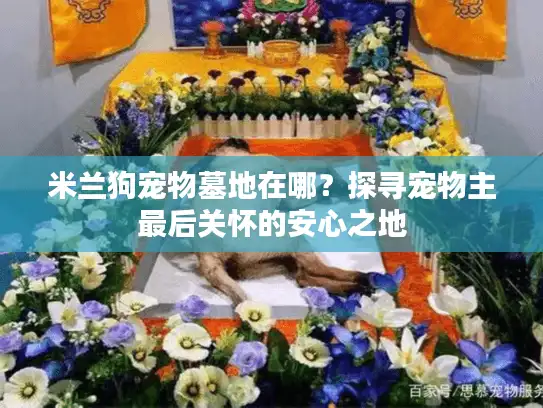 米兰狗宠物墓地在哪？探寻宠物主最后关怀的安心之地
