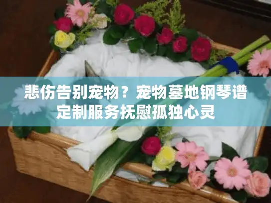 悲伤告别宠物？宠物墓地钢琴谱定制服务抚慰孤独心灵