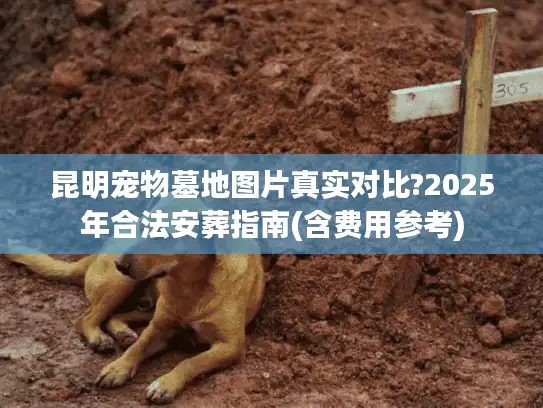 昆明宠物墓地图片真实对比?2025年合法安葬指南(含费用参考)