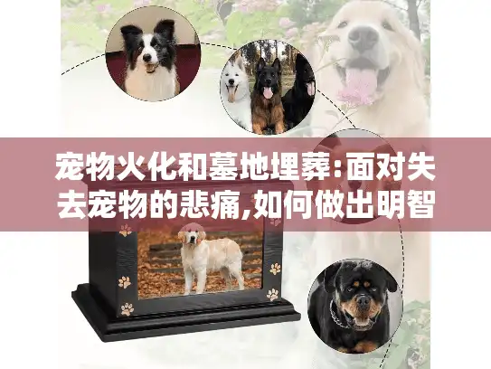 宠物火化和墓地埋葬:面对失去宠物的悲痛,如何做出明智选择指南