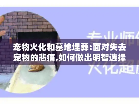 宠物火化和墓地埋葬:面对失去宠物的悲痛,如何做出明智选择指南