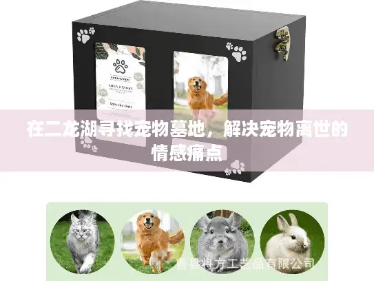 在二龙湖寻找宠物墓地，解决宠物离世的情感痛点