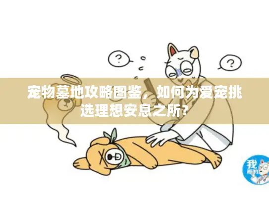 宠物墓地攻略图鉴，如何为爱宠挑选理想安息之所？