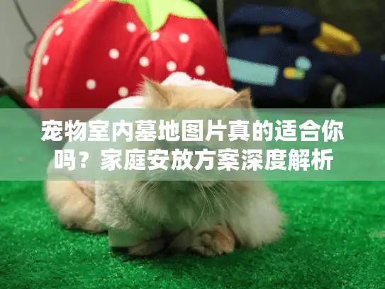 宠物室内墓地图片真的适合你吗？家庭安放方案深度解析