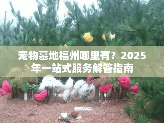 宠物墓地福州哪里有？2025年一站式服务解答指南