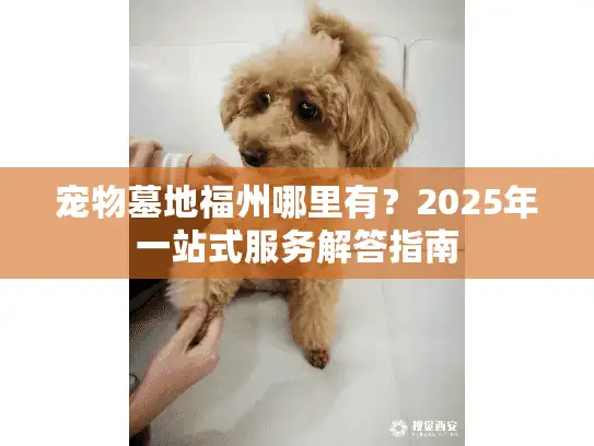 宠物墓地福州哪里有？2025年一站式服务解答指南