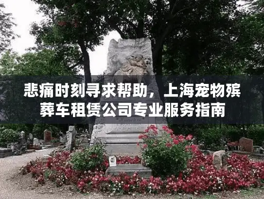 悲痛时刻寻求帮助，上海宠物殡葬车租赁公司专业服务指南
