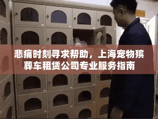 悲痛时刻寻求帮助，上海宠物殡葬车租赁公司专业服务指南