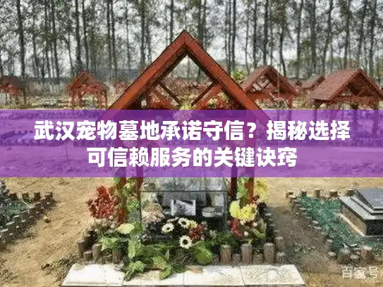 武汉宠物墓地承诺守信？揭秘选择可信赖服务的关键诀窍