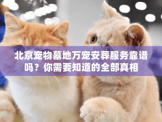 北京宠物墓地万宠安葬服务靠谱吗？你需要知道的全部真相