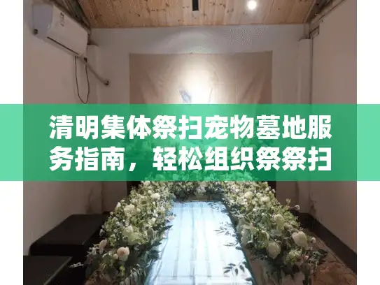 清明集体祭扫宠物墓地服务指南，轻松组织祭祭扫活动