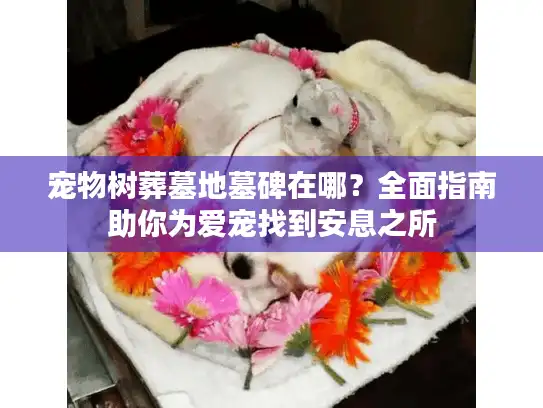 宠物树葬墓地墓碑在哪？全面指南助你为爱宠找到安息之所