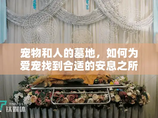 宠物和人的墓地，如何为爱宠找到合适的安息之所？