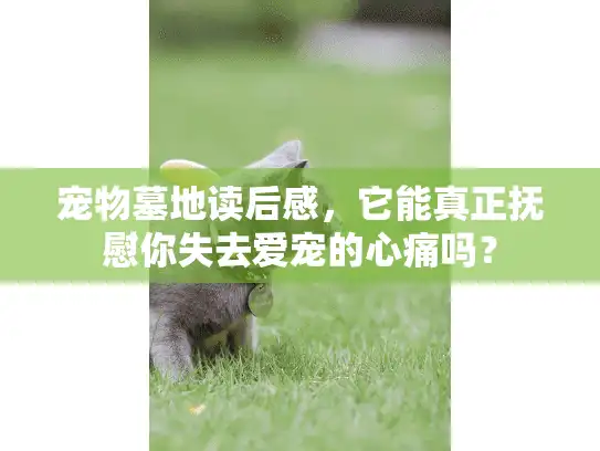 宠物墓地读后感，它能真正抚慰你失去爱宠的心痛吗？