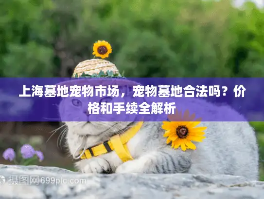 上海墓地宠物市场，宠物墓地合法吗？价格和手续全解析