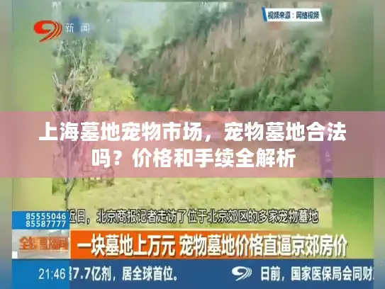 上海墓地宠物市场，宠物墓地合法吗？价格和手续全解析