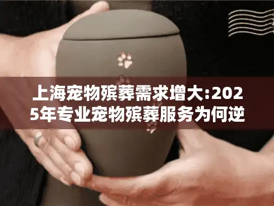 上海宠物殡葬需求增大:2025年专业宠物殡葬服务为何逆势上扬?