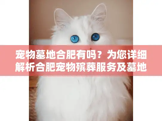 宠物墓地合肥有吗？为您详细解析合肥宠物殡葬服务及墓地选择
