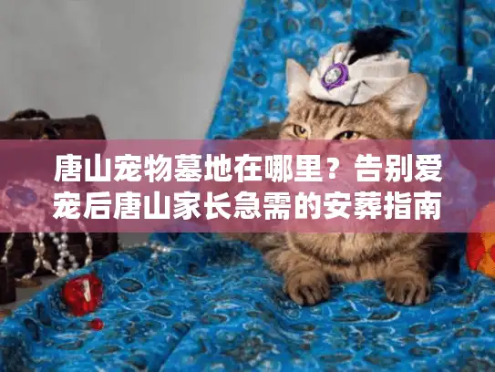 唐山宠物墓地在哪里？告别爱宠后唐山家长急需的安葬指南