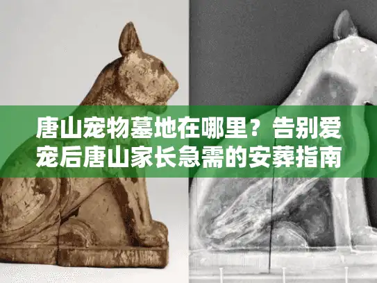 唐山宠物墓地在哪里？告别爱宠后唐山家长急需的安葬指南