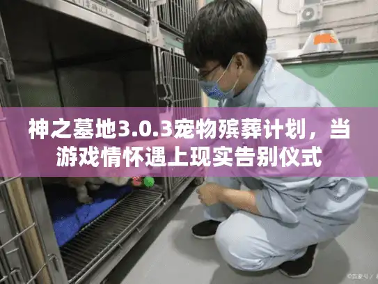 神之墓地3.0.3宠物殡葬计划，当游戏情怀遇上现实告别仪式