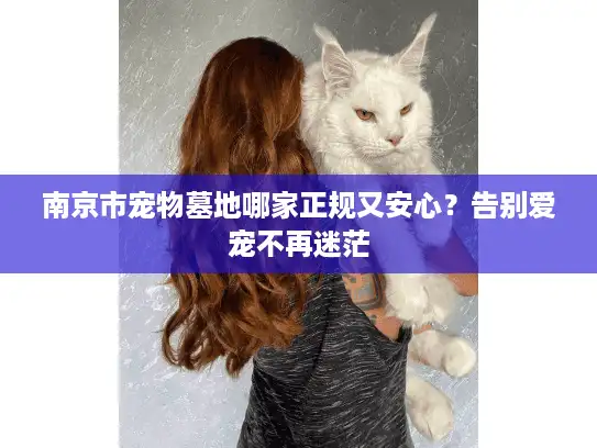 南京市宠物墓地哪家正规又安心？告别爱宠不再迷茫