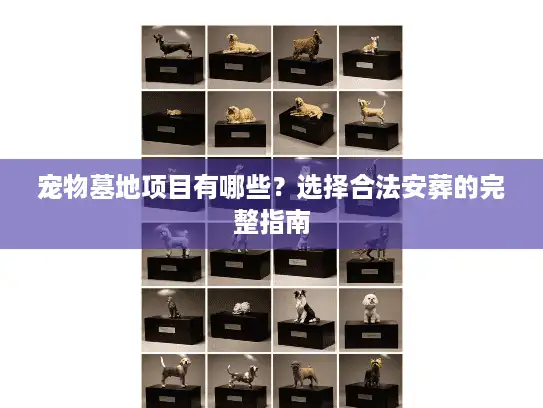 宠物墓地项目有哪些？选择合法安葬的完整指南