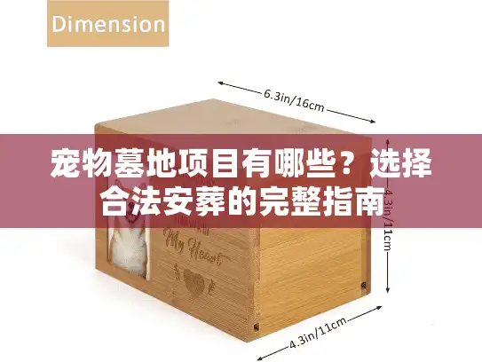 宠物墓地项目有哪些？选择合法安葬的完整指南