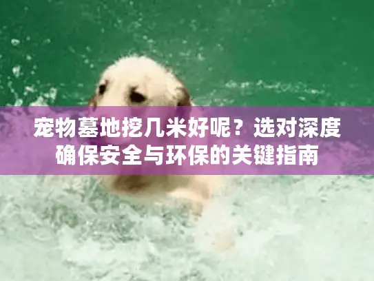 宠物墓地挖几米好呢？选对深度确保安全与环保的关键指南