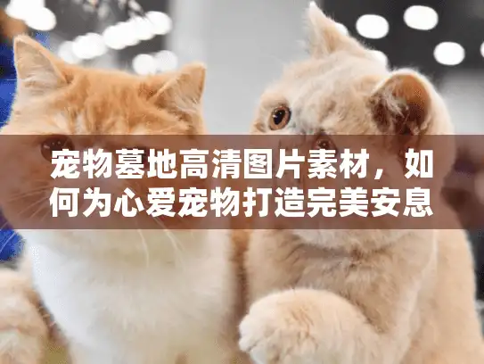 宠物墓地高清图片素材，如何为心爱宠物打造完美安息之地