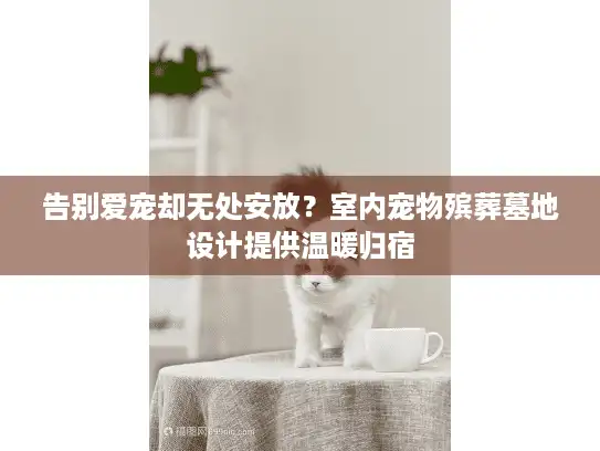 告别爱宠却无处安放？室内宠物殡葬墓地设计提供温暖归宿