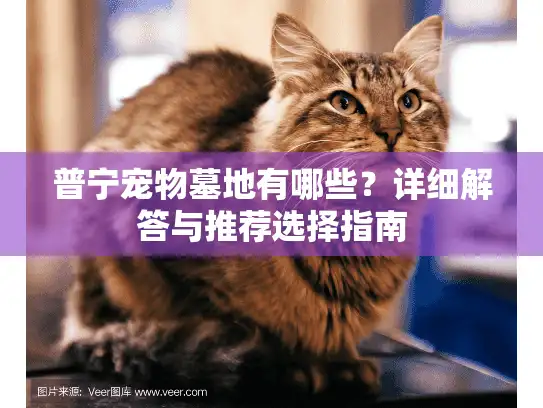 普宁宠物墓地有哪些？详细解答与推荐选择指南
