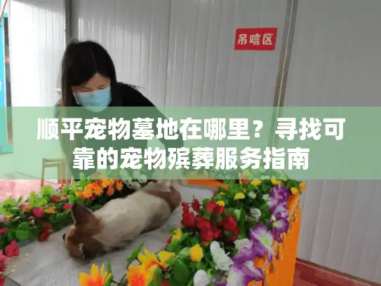 顺平宠物墓地在哪里？寻找可靠的宠物殡葬服务指南