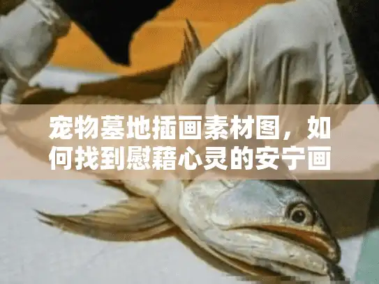 宠物墓地插画素材图，如何找到慰藉心灵的安宁画面