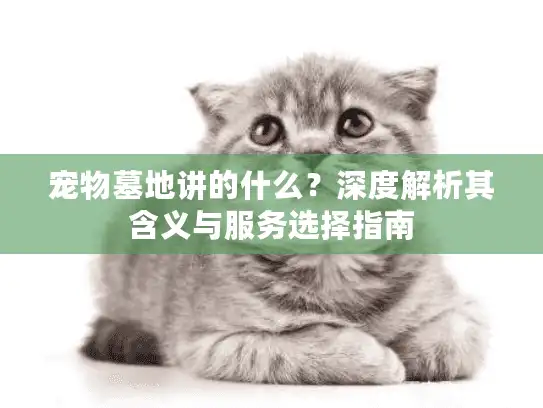 宠物墓地讲的什么？深度解析其含义与服务选择指南
