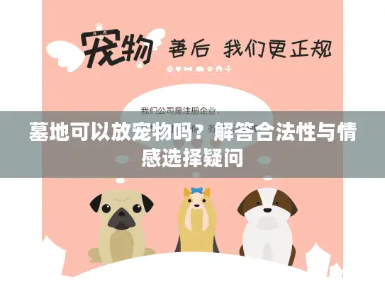 墓地可以放宠物吗？解答合法性与情感选择疑问