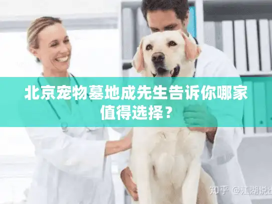 北京宠物墓地成先生告诉你哪家值得选择？