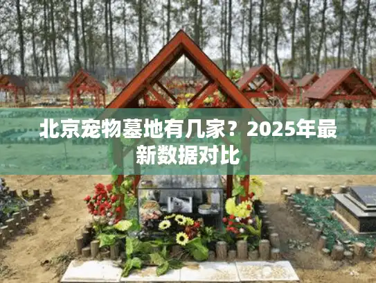 北京宠物墓地有几家？2025年最新数据对比