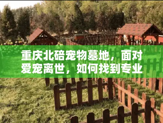 重庆北碚宠物墓地，面对爱宠离世，如何找到专业的安息地？