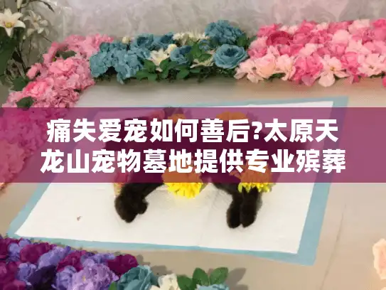 痛失爱宠如何善后?太原天龙山宠物墓地提供专业殡葬服务全程指导