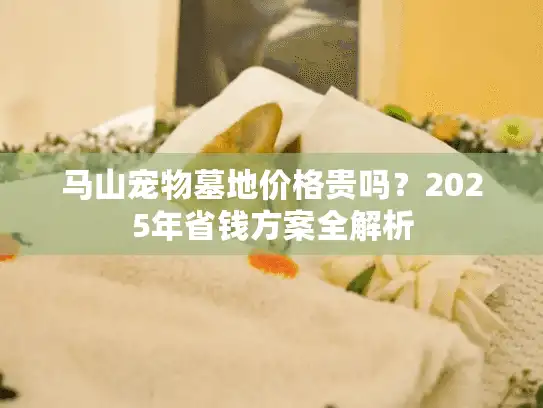 马山宠物墓地价格贵吗？2025年省钱方案全解析