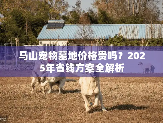 马山宠物墓地价格贵吗？2025年省钱方案全解析