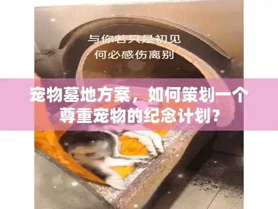 宠物墓地方案，如何策划一个尊重宠物的纪念计划？