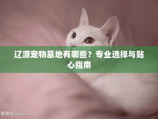 辽源宠物墓地有哪些？专业选择与贴心指南