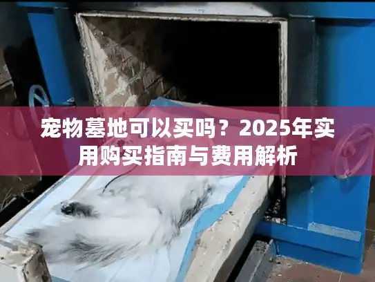 宠物墓地可以买吗？2025年实用购买指南与费用解析