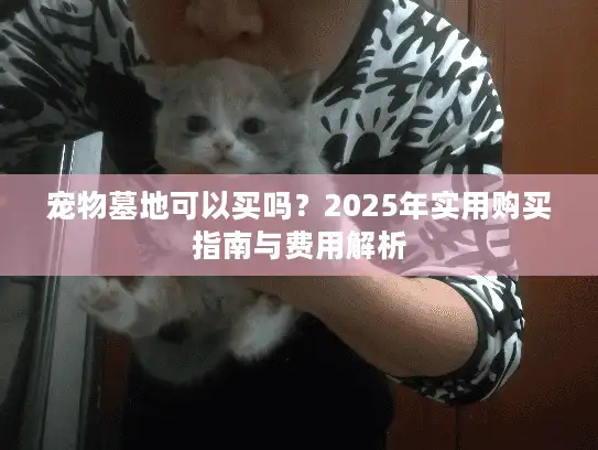 宠物墓地可以买吗？2025年实用购买指南与费用解析